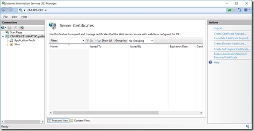 Setup SSRS to Use HTTPS - Actions-Create Domain Certificate
