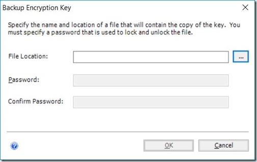 Setup SSRS to Use HTTPS - Backup Encryption Key